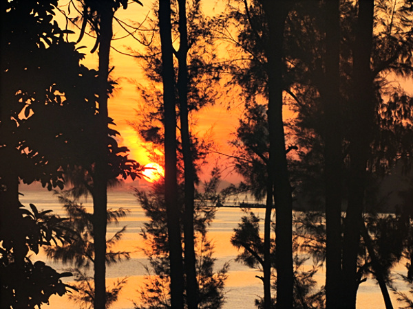 Sunrise captured through trees at Port Blair, photograph by Rajesh Vasavada.