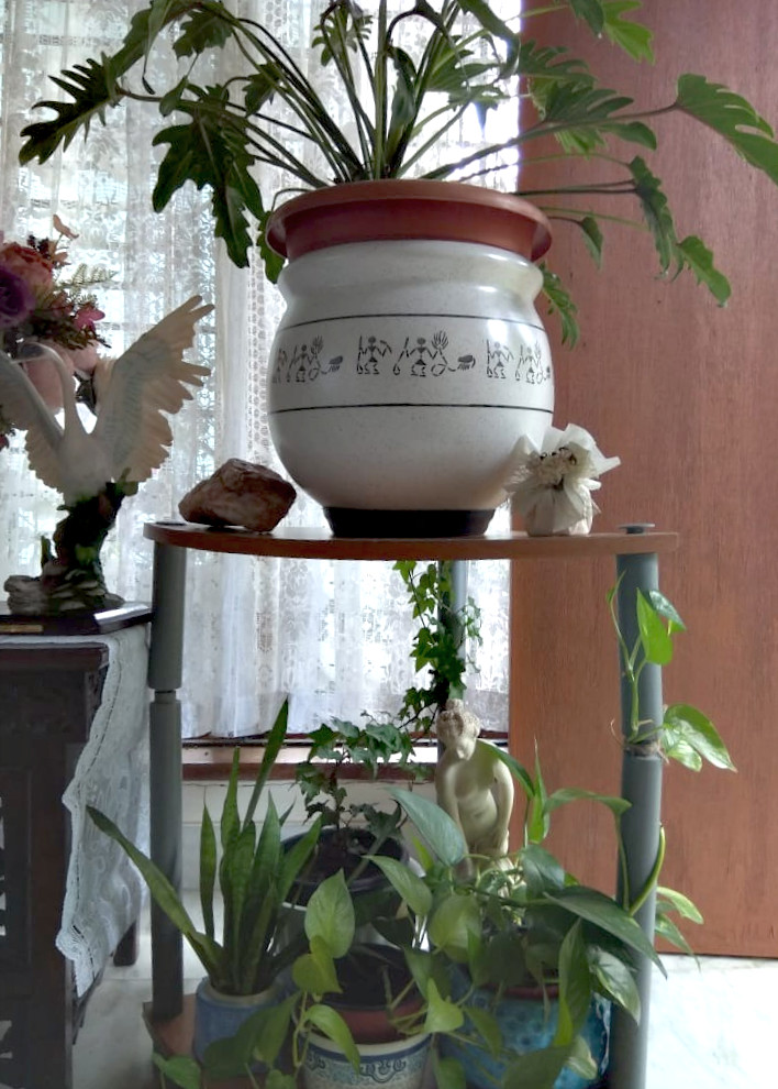 A two-tier plant stand near the front door hosts a Philodendron selloum at the top. The bottom shelf holds money plant, English ivy and a snake plant in ceramic pots.