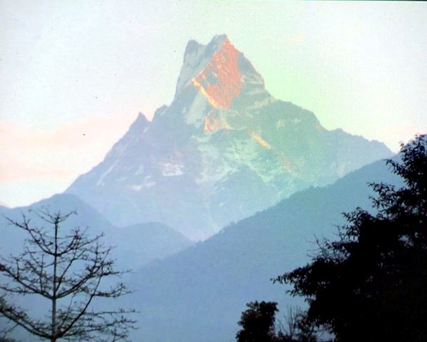 Mt. Machapuchare