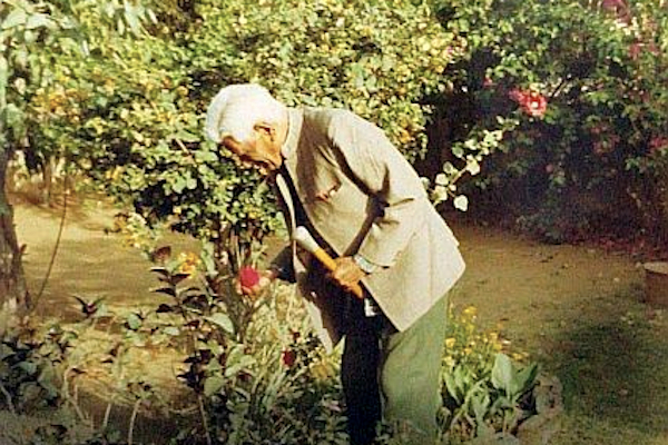 Nanaji tending to his garden.