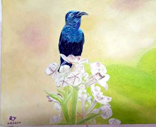Blue sun-bird. (Oil on canvas by Yadav Ram.)